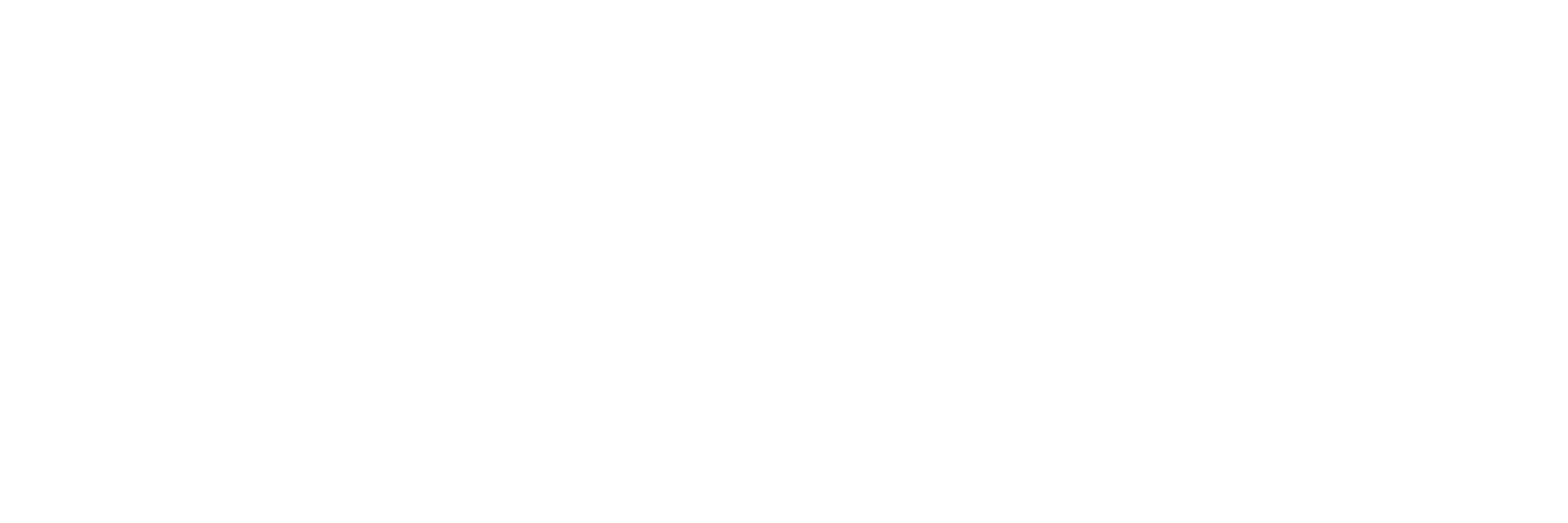 ParentPresentsWhiteLogo